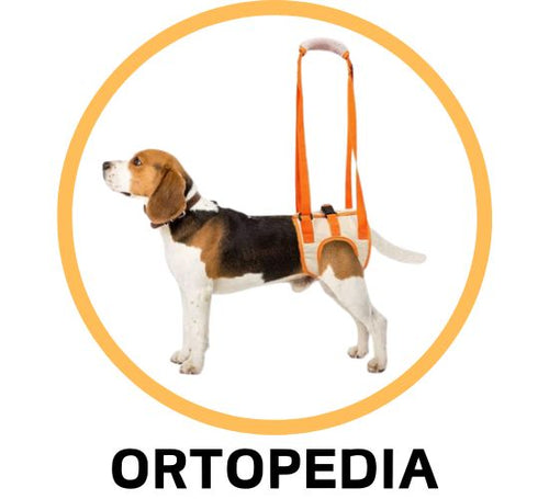 ORTOPEDIA - MascotaGadget.com