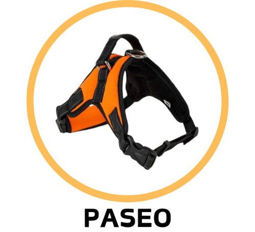 PASEO - MascotaGadget.com