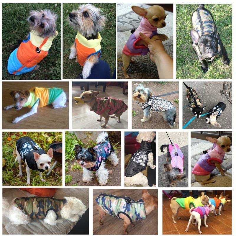 Abrigo Cool Dog - MascotaGadget.com