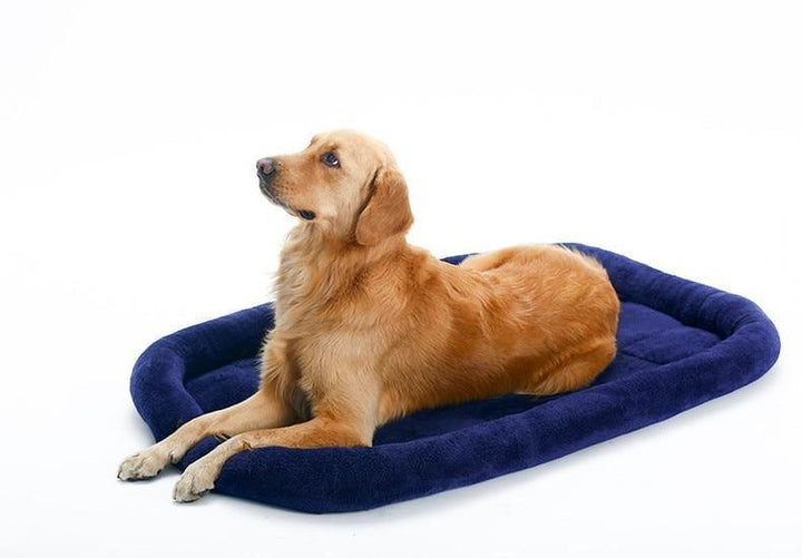 Cama Acolchada con Rebordes - MascotaGadget.com