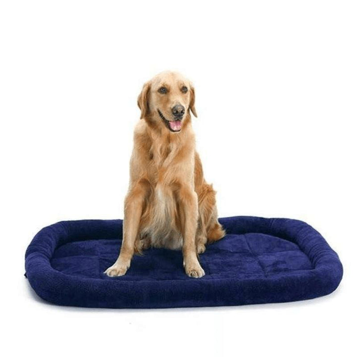 Cama Acolchada con Rebordes - MascotaGadget.com