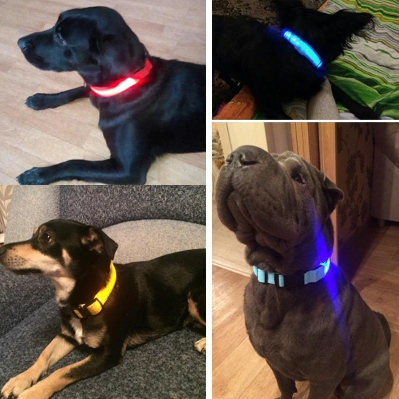 Collar LED - MascotaGadget.com