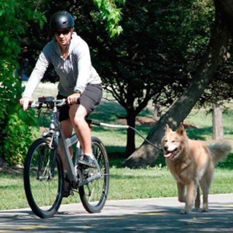 Correa para Bicicletas - MascotaGadget.com