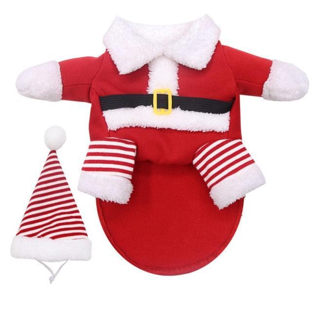 Disfraz de Papa Noel - MascotaGadget.com