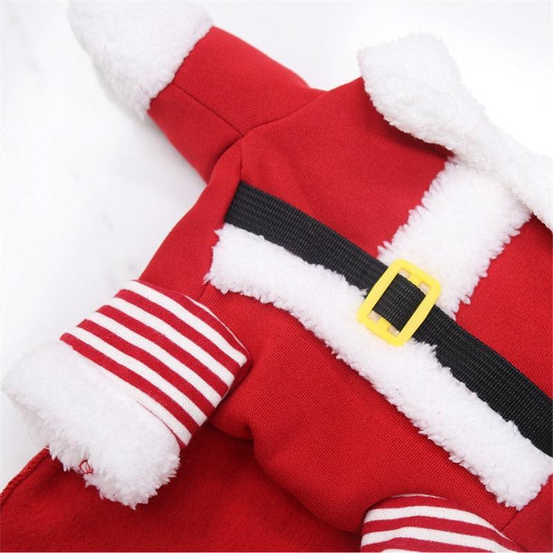 Disfraz de Papa Noel - MascotaGadget.com