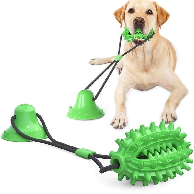 Mordedor para perro con Ventosa - juguete para perro