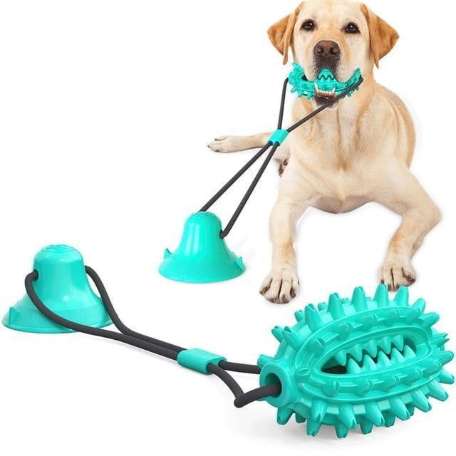 Mordedor para perro con Ventosa - juguete para perro